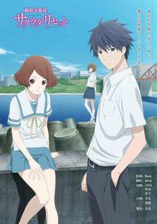 Переустановка Сакурады / Sagrada Reset