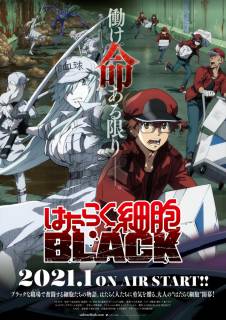Клетки за работой: Тёмная сторона / Hataraku Saibou Black