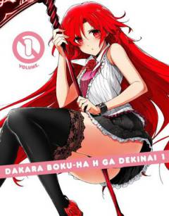 Говорю же, я не извращенец! / Dakara Boku wa, H ga Dekinai